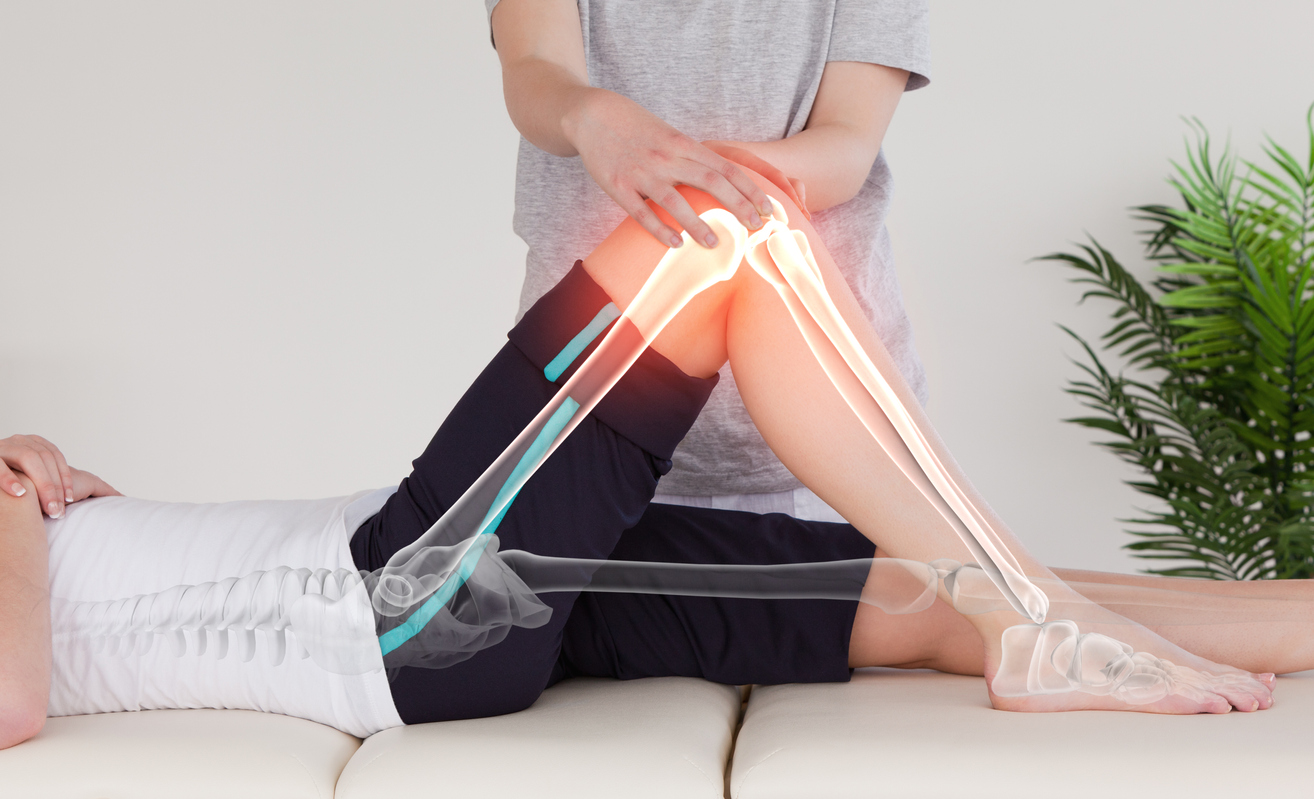 A physical therapist holds the knee of a patient experiencing joint pain. The bones and joints are shown over the skin.